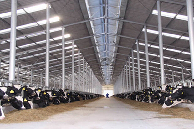 Easy Install Modern Cattle Shed , Prefabricated Metal Farm Barns