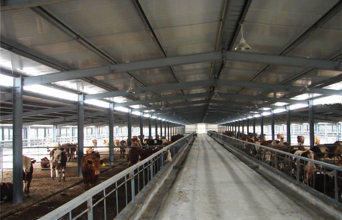 Light Prefab Steel Livestock Barns , Custom Steel Shed Construction
