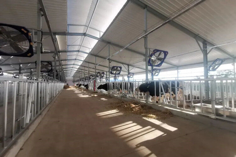 Light Prefab Steel Livestock Barns , Custom Steel Shed Construction