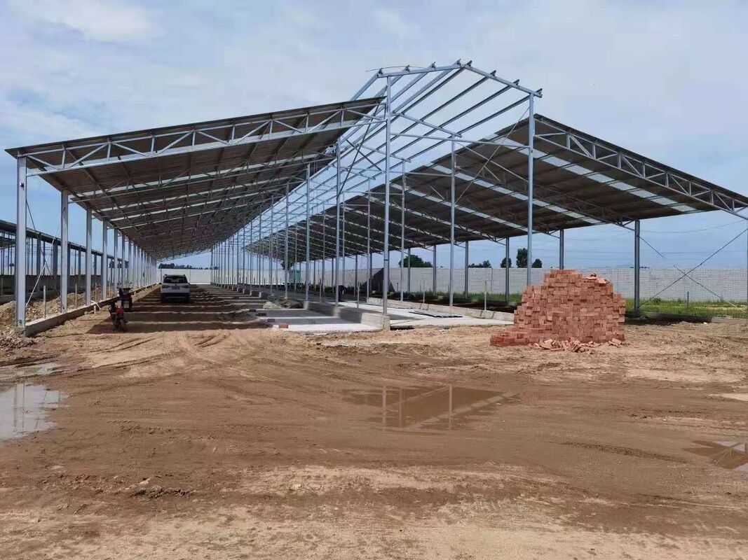 Light Prefab Steel Livestock Barns , Custom Steel Shed Construction