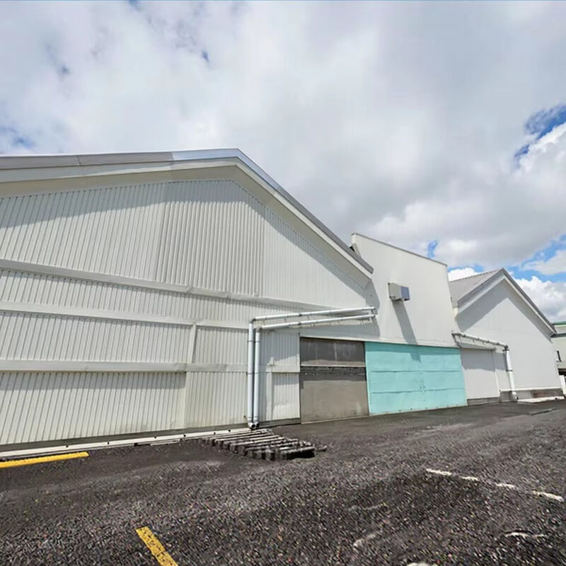 Clear Span Metal Buildings Workshop , Customized Light Steel Frame Commercial Building