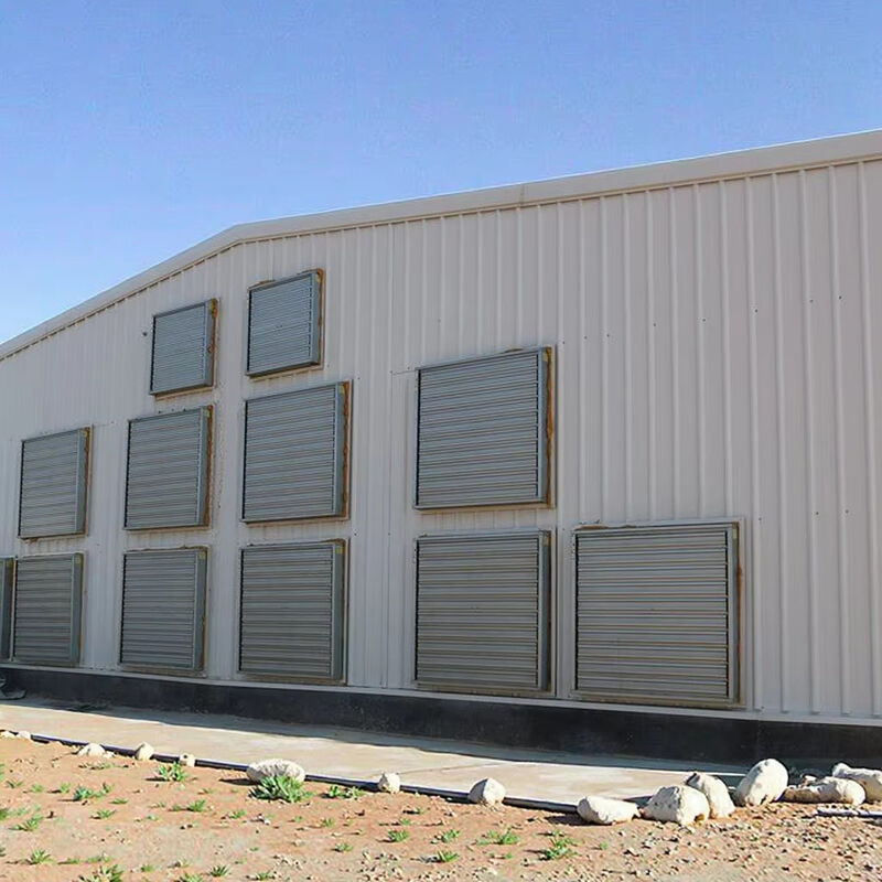 Modern Economical Steel Chicken Farm Customized Color Graphic Design