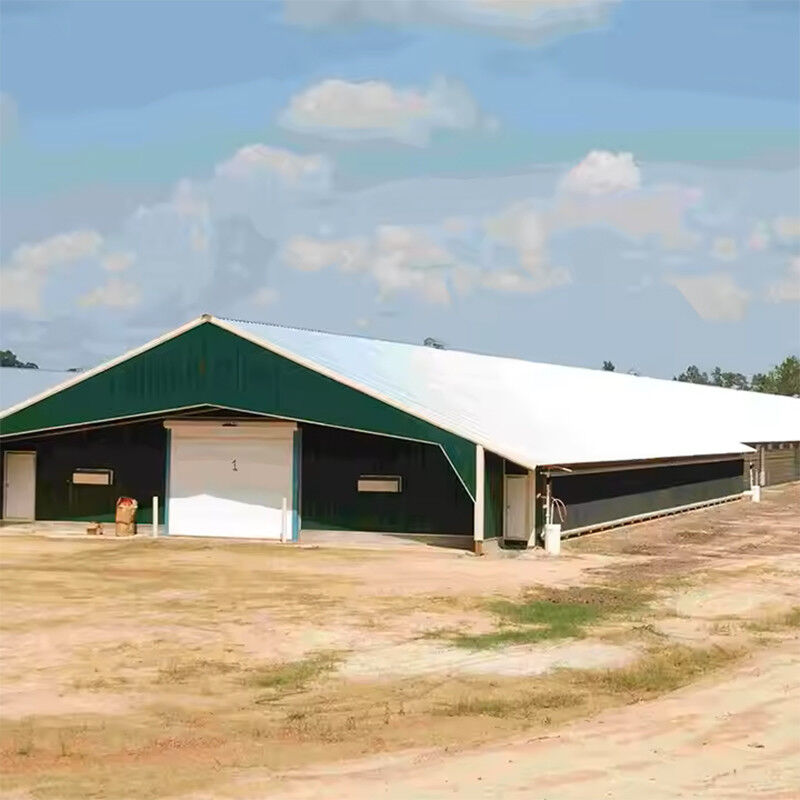 Commercial Prefabricated Steel Building Durable Easy Install For Broiler Chickens Farms