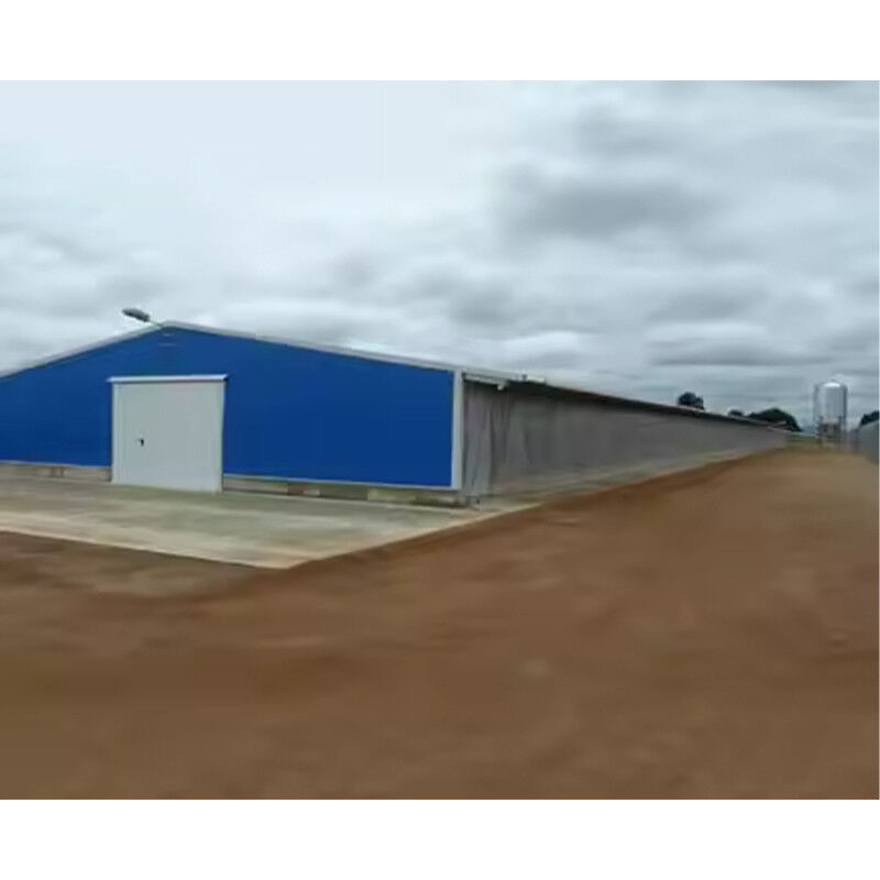 Commercial Prefabricated Steel Building Durable Easy Install For Broiler Chickens Farms