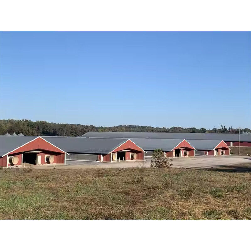 Commercial Prefabricated Steel Building Durable Easy Install For Broiler Chickens Farms