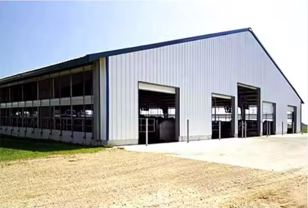 Safety Steel Structure Cow Shed House Agricultural Farm Steel Building