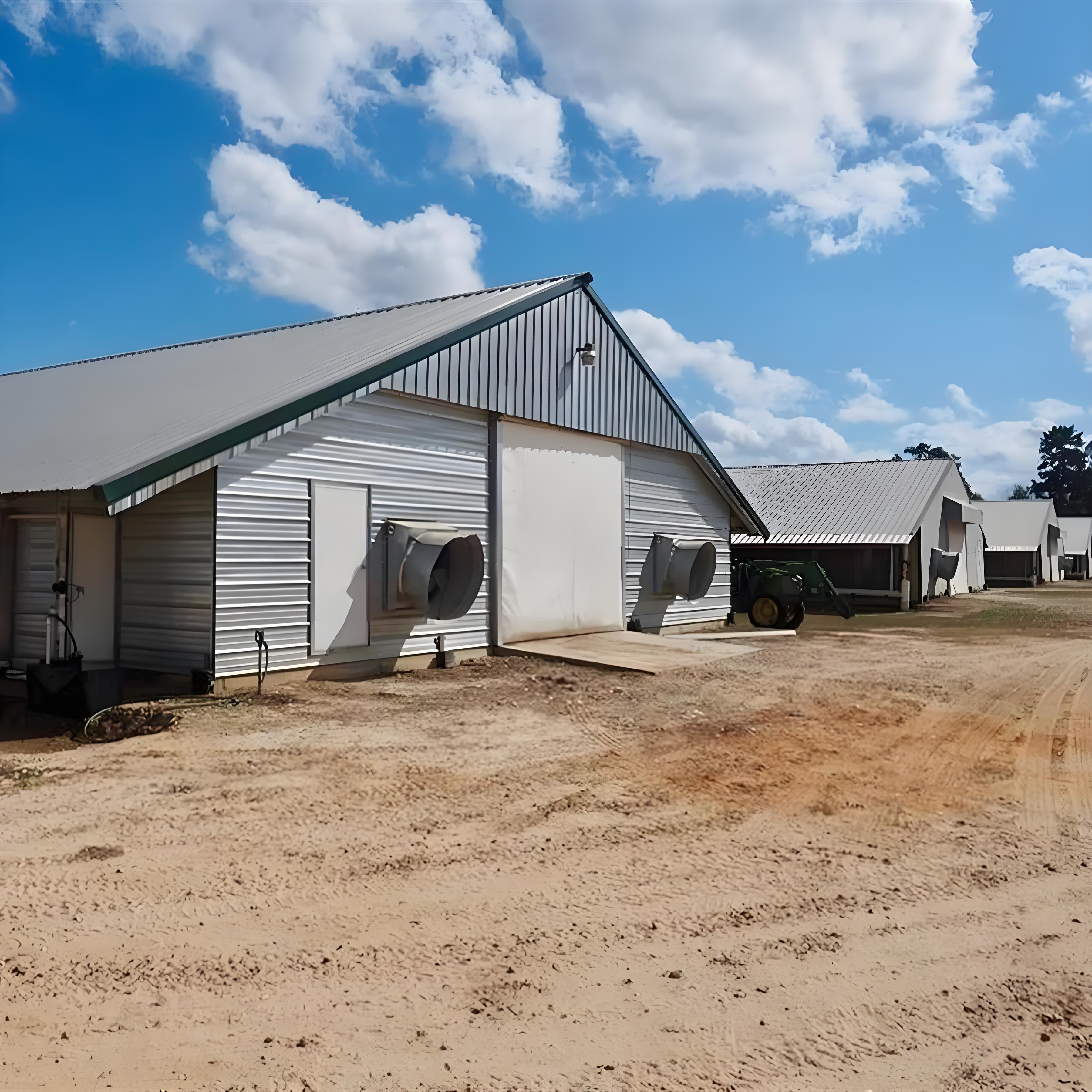 Light Steel Structure Shed Construction Customized Steel Broiler Poultry House