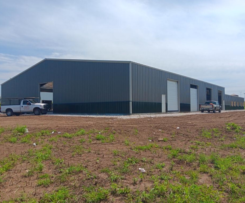 Prefab and Application Fields Steel Structure Warehouse with Customized Color