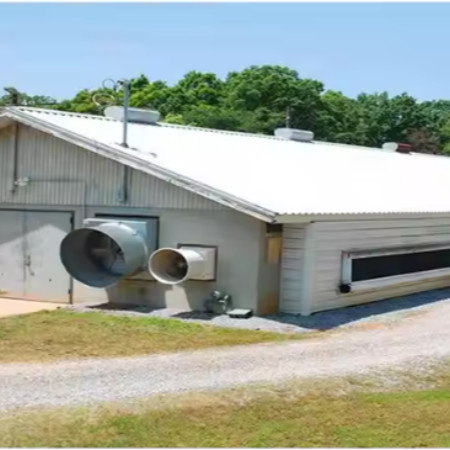 Easy Assembly Steel Structure Chicken House Customized For Poultry Farm Building
