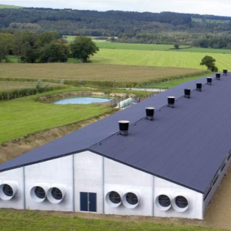 Easy Assembly Steel Structure Chicken House Customized For Poultry Farm Building