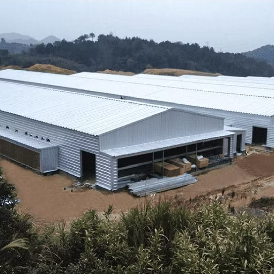 Easy Assembly Steel Structure Chicken House Customized For Poultry Farm Building