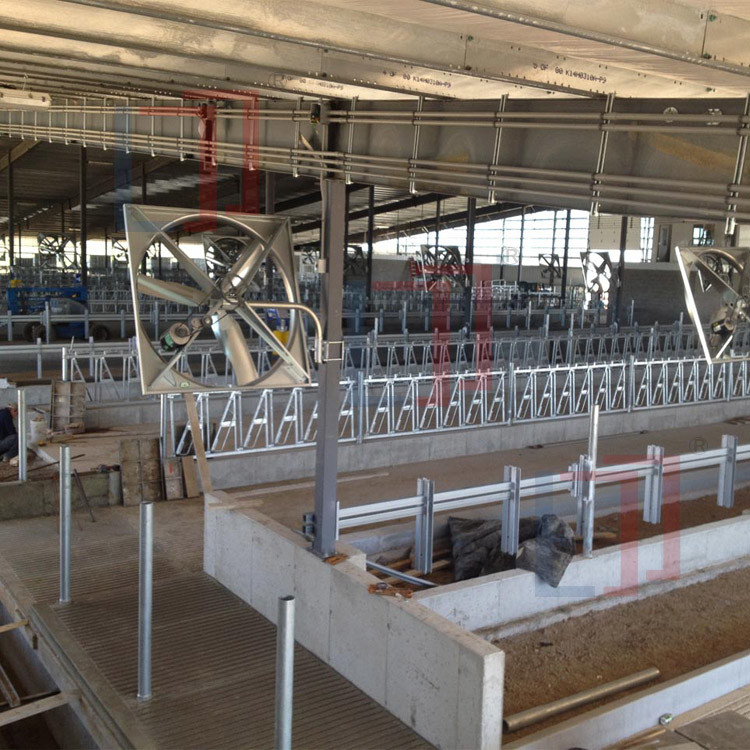 Dairy Agricultural Steel Framed Building Easy Install Prefabricated Light Steel Structure