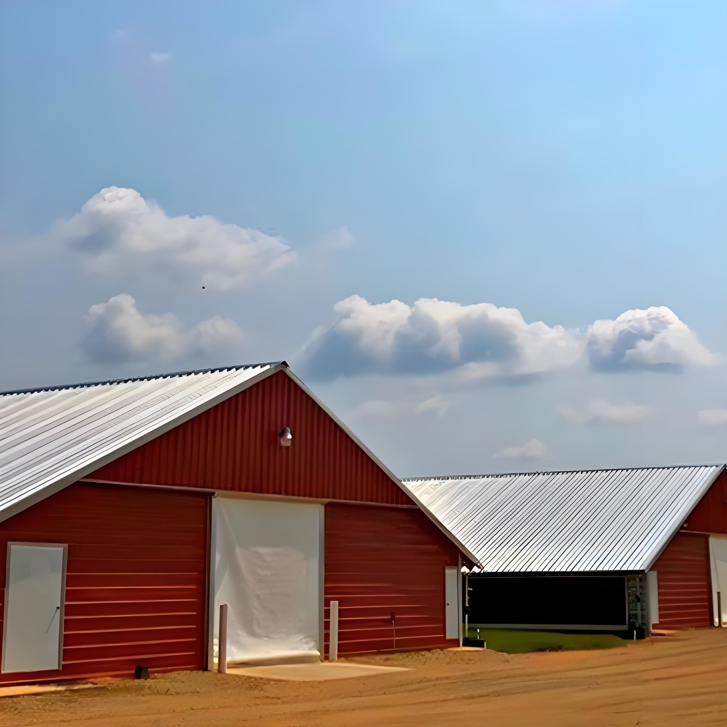 Modern Steel Chicken Farm Building , Light Steel Structure Poultry House