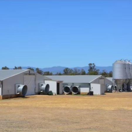 Light Weight Steel Structure Chicken House Customized Size / Color