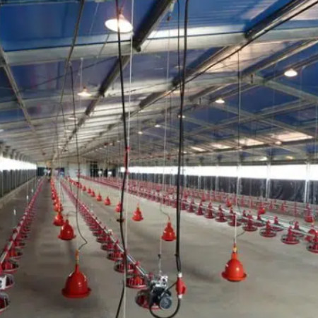 Safety Lightweight Steel Frame Chicken Coop Customized For Poultry Farming