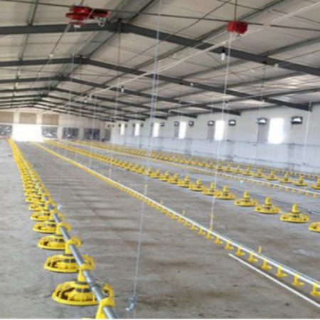 Safety Steel Structure Chicken House Lightweight Steel Frame Building