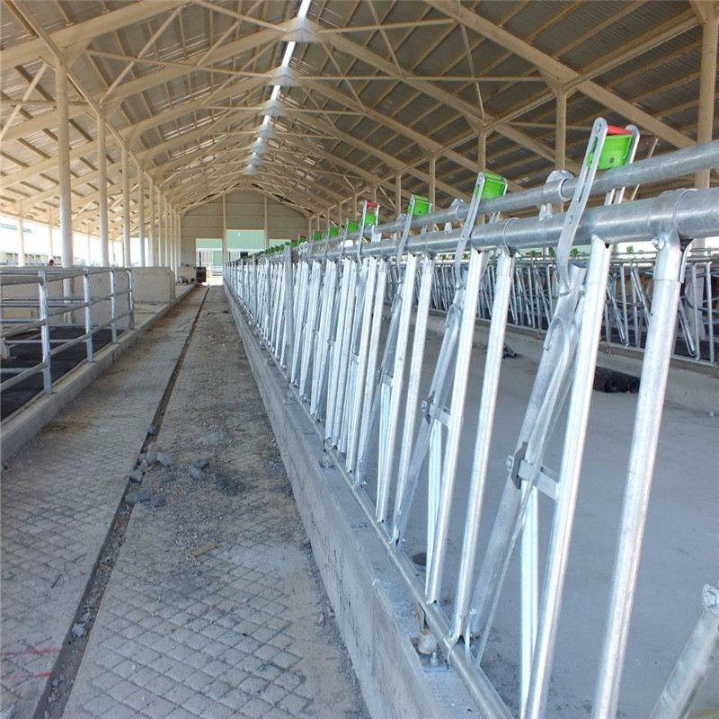 Lanjing Prefabricated Steel Structure Farm House , Modern Metal Livestock Shelters
