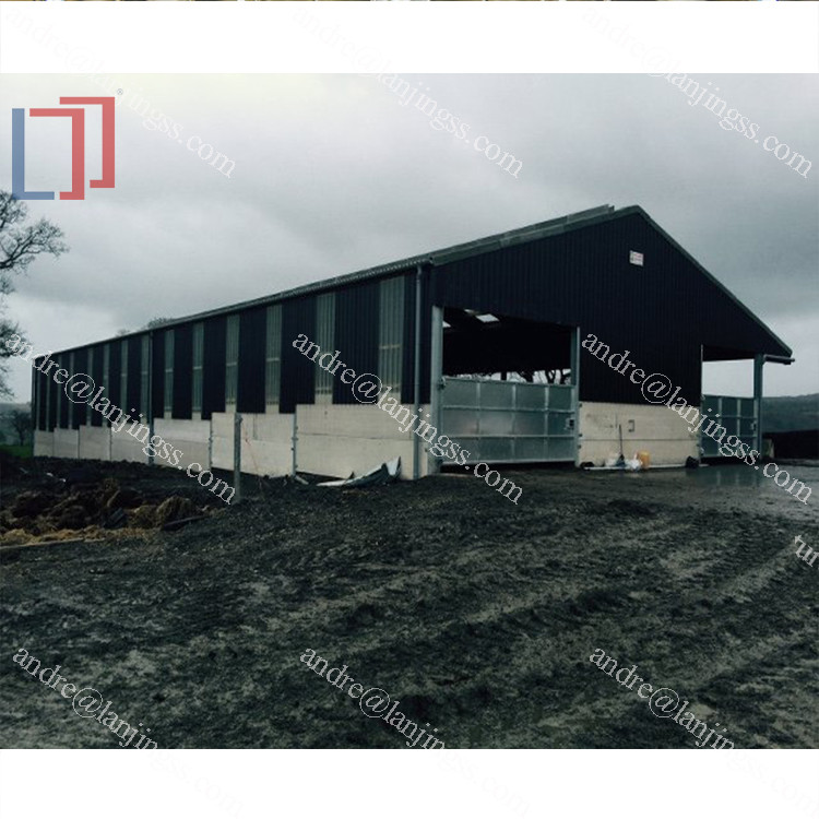 Ventilation Steel Structure Cow Shed , Durable Steel Livestock Shelter For Dairy Farm