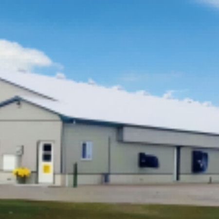 Lightweight Steel Frame House , Chicken Farm Structure Customized