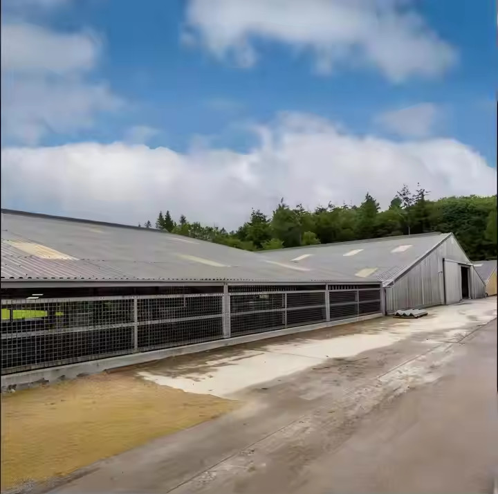 Temporary Prefabricated Steel Farm Storage Buildings Size Customized