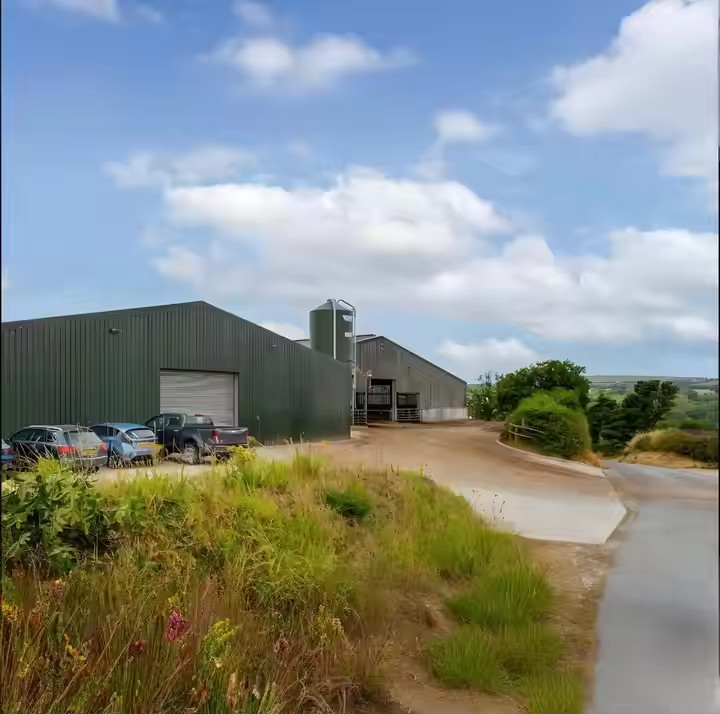 Farmhouse Style Steel Structure Cow Shed Prefabricated Temporary Storage Buildings