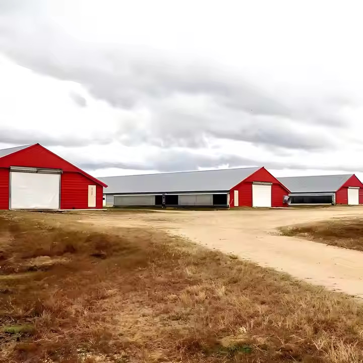 Industrial Steel Structure Shed , Light Frame Steel Houses Easy Installation