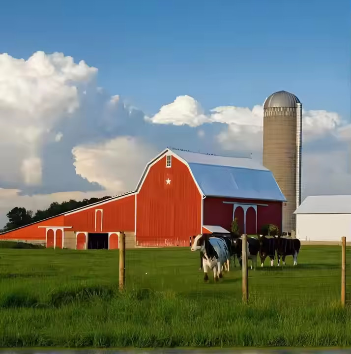 Prefab Steel Structure Cow Shed Earthquake Resistant For Cattle Management