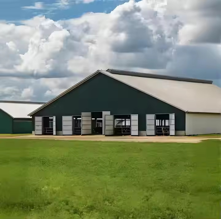 Q235 Q345 Steel Structure Cow Shed Temporary Prefab Metal Storage Sheds