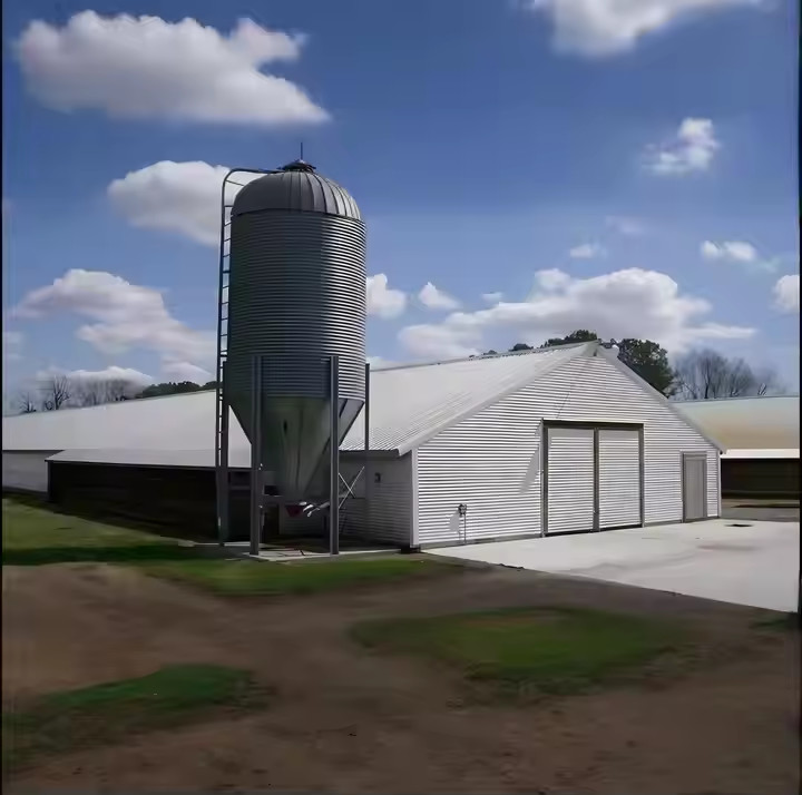 Customized Steel Structure Chicken House Industrial Weather Resistant