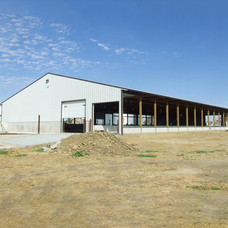 Prefabricated Steel Structure Dairy Cow Shed , Modern Metal Agricultural Sheds