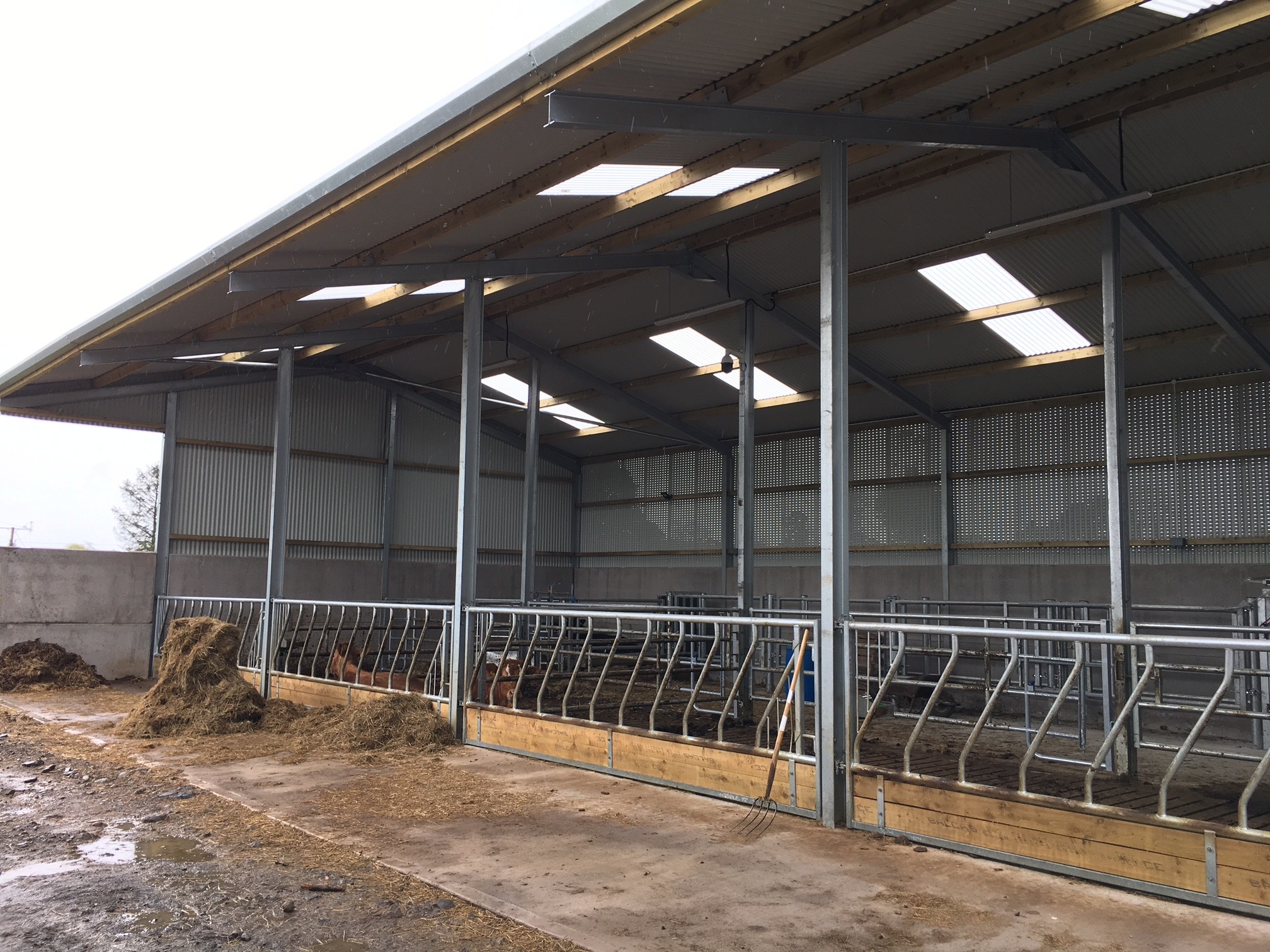 Easy Install Industrial Steel Sheds Customized Low Cost Steel Buildings