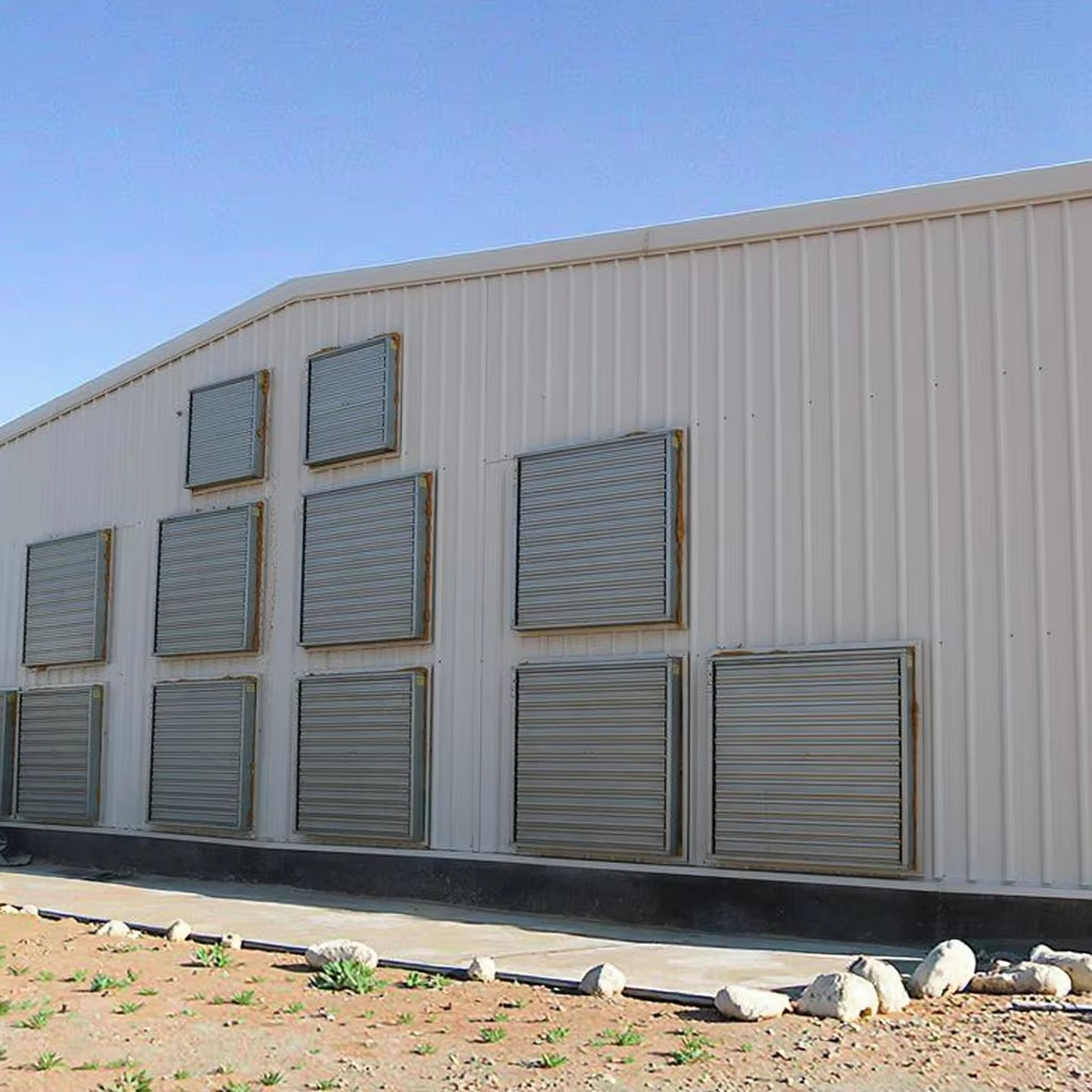 Modern Economical Steel Chicken Farm Customized Color Graphic Design