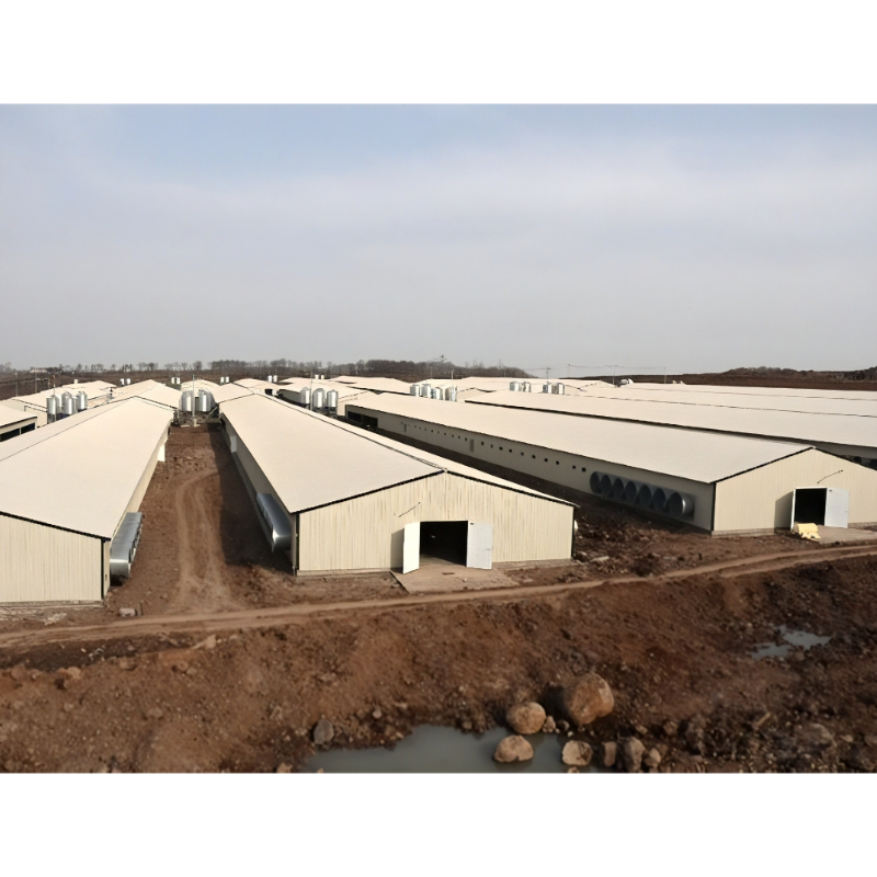 Economical Light Steel House Construction Customized Steel Structure Shed Factory