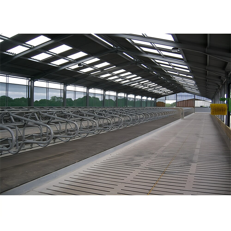 Q235B Q355B Steel Structure Cow Shed Economical Steel Frame Farm Buildings For Cow / Cattle Care