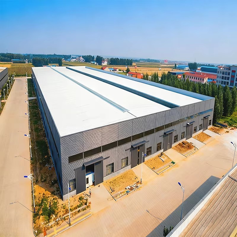 Galvanized Steel Structure Factory With 50 Years Life Span And High Fire Resistance