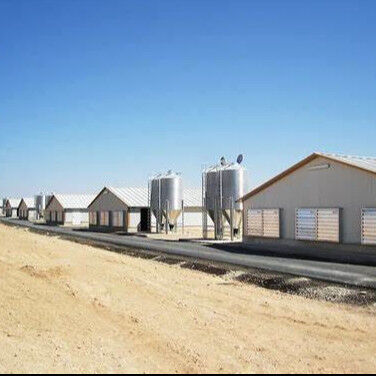 Quick Assembly Lightweight Steel Frame Chicken House Weather Resistant