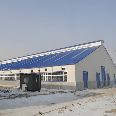 Dairy Agricultural Steel Framed Building Easy Install Prefabricated Light Steel Structure
