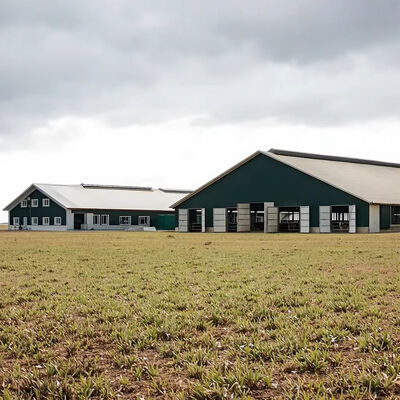 Cow Shed Prefab Steel Farm Building Steel Structure For Livestock