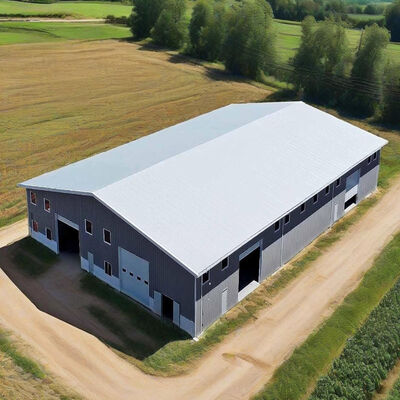 Industrial Metal Steel Structure Warehouse Prefab Factory Logistics Building