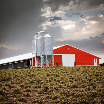 Prefab Steel Structure Low Cost Commercial Chicken House Complete Poultry Farm Shed for Chicken Raising