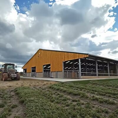 Modern Design Prefab Dairy Cow Shed Steel Structure Farm House With Cow Stable Easy Installation