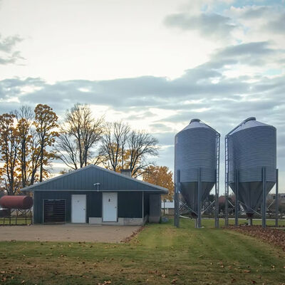 Q235/Q345 Steel Structure Chicken House Farm Broiler Poultry Shed Construction Design with Durable Sandwich Panel Roofing