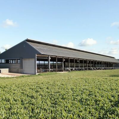 Modern Steel Structure Cow Shed for Fast Cattle Farm Construction