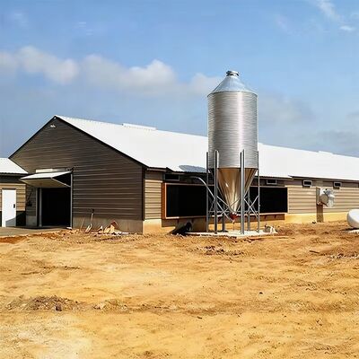 Durable Q235 Steel Structure Chicken House With Eco-Friendly Weather-Resistant Design