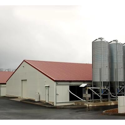 Prefabricated Steel Structure Chicken House With EPS Sandwich Panel Wall, Corrugated Steel Sheet Roof, And Polyurethane Foam Insulation