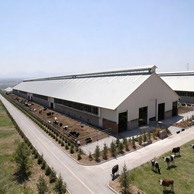 Sapi Fram Prefab Steel Frame Sarang Sapi Ukuran Khusus untuk Peternakan Sapi